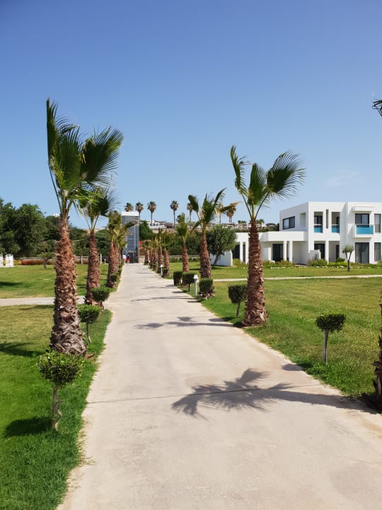 Gartenanlage Atlantica Plimmiri