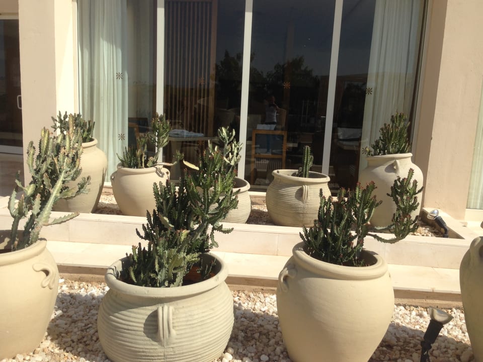 Sonstiges Steigenberger Makadi Hotel - Adults only