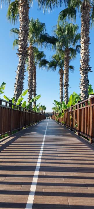 Gartenanlage Saturn Palace Resort Hotel