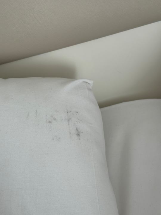 Zimmer Well Palace Side