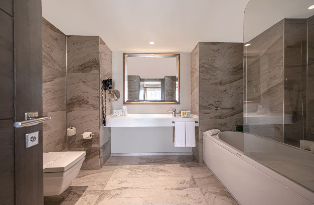 Zimmer Holiday Inn Kayseri - Duvenonu