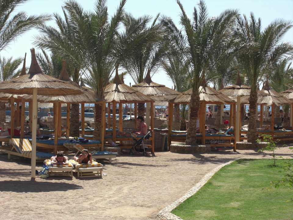 Strand Beach Albatros Resort