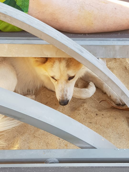 Strand Hive Khaolak Beach Resort