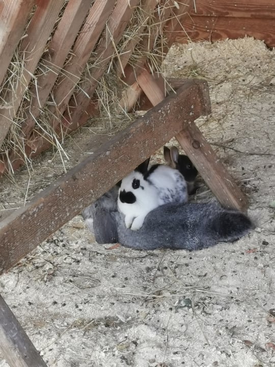 Sport & Freizeit Lerchs Landhotel