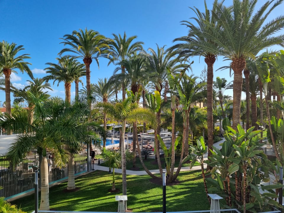 Ausblick Hotel Riu Palace Palmeras