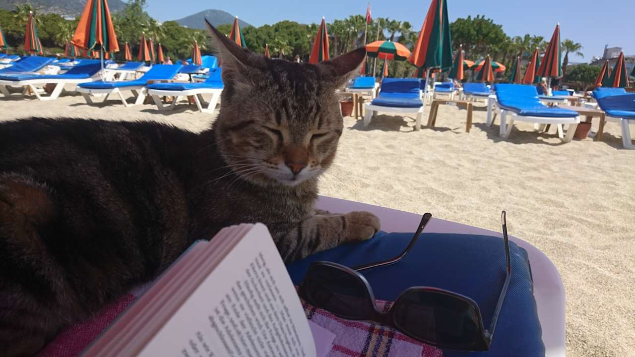 Strand Riviera Hotel & Spa