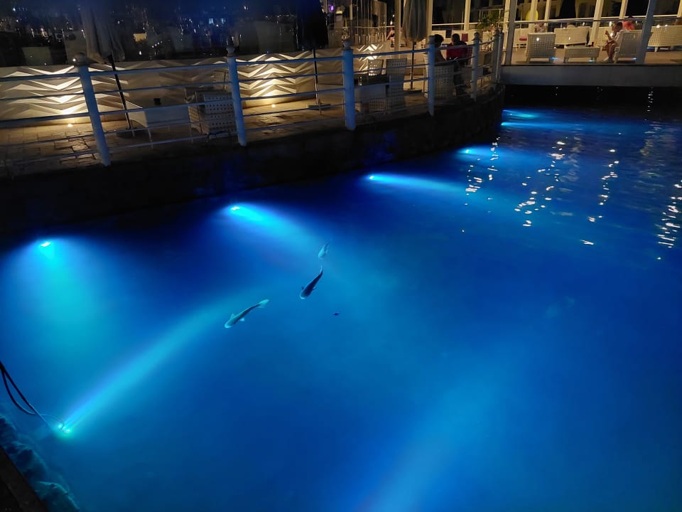 Außenansicht Pickalbatros Dana Beach Resort - Hurghada