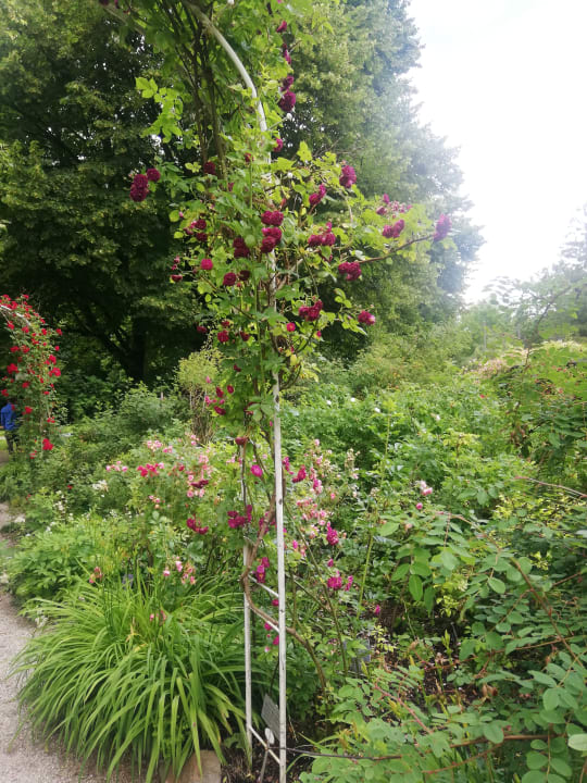 Gartenanlage Hotel Sonnengarten