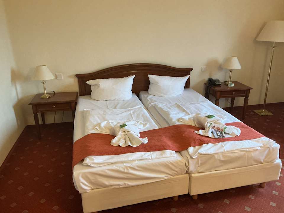 Zimmer SeeHotel Großräschen