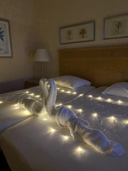 Zimmer Hotel JAZ Makadi Star & Spa