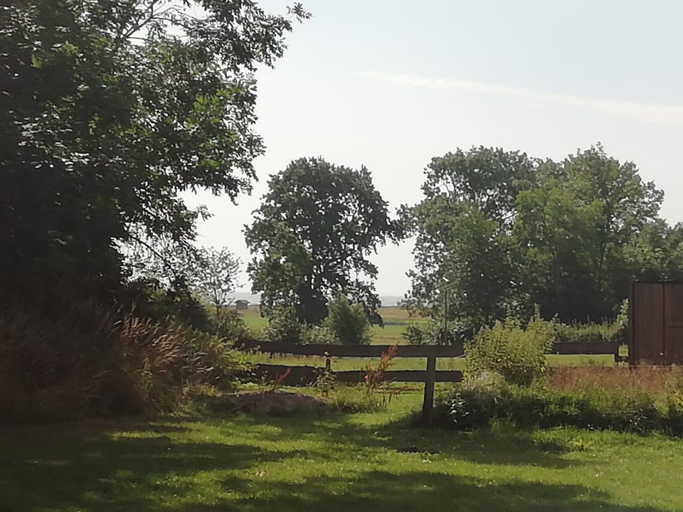 Gartenanlage Landhaus Ostseeblick