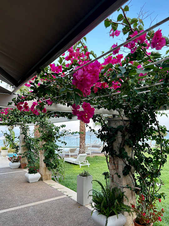 Außenansicht Afitis Boutique Hotel