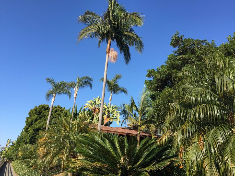 Wunderschön angelegt Best Western Plus Island Palms Hotel & Marina