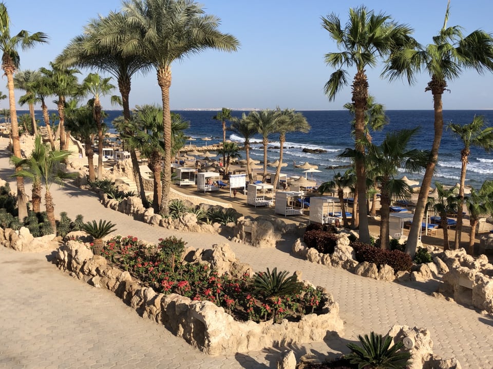 Gartenanlage Pickalbatros Citadel Resort