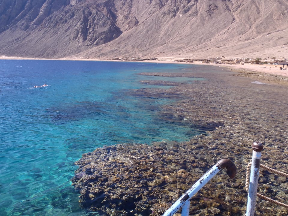 Hausriff rechts vom Steg Happy Life Village