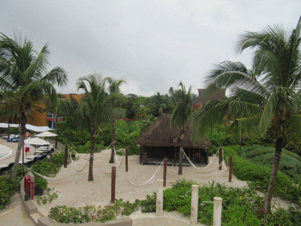Ogród Catalonia Playa Maroma