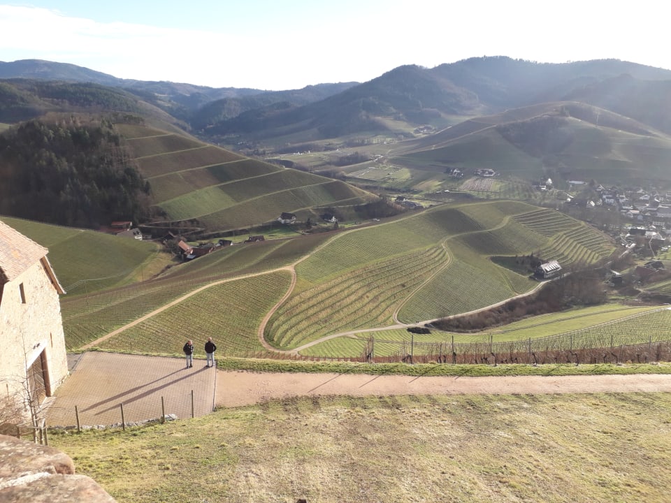 Ausblick Hotel Restaurant Rebstock Durbach