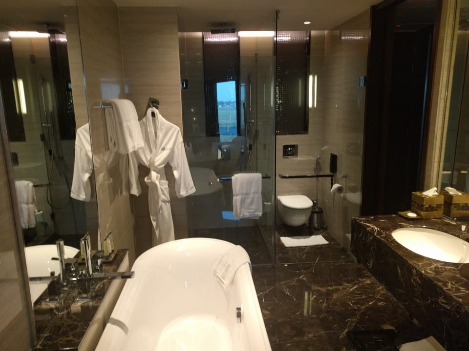 Zimmer Pullman New Delhi Aerocity