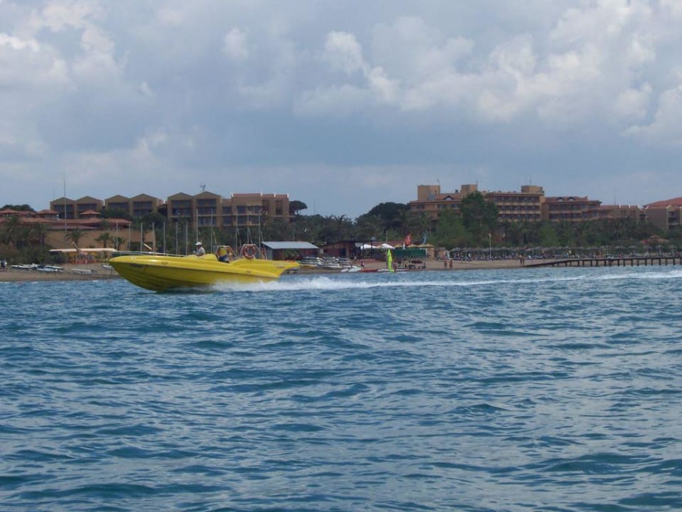 Mlc from the sea Asteria Family Belek