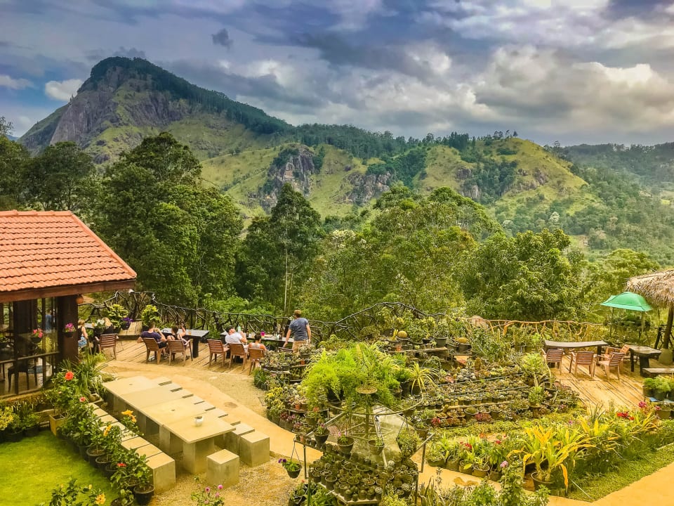 Фловер гарден шри ланка. Элла Флауэр Гарден. Flower Garden Шри Ланка. Flower Garden Hotel Ella Sri Lanka.