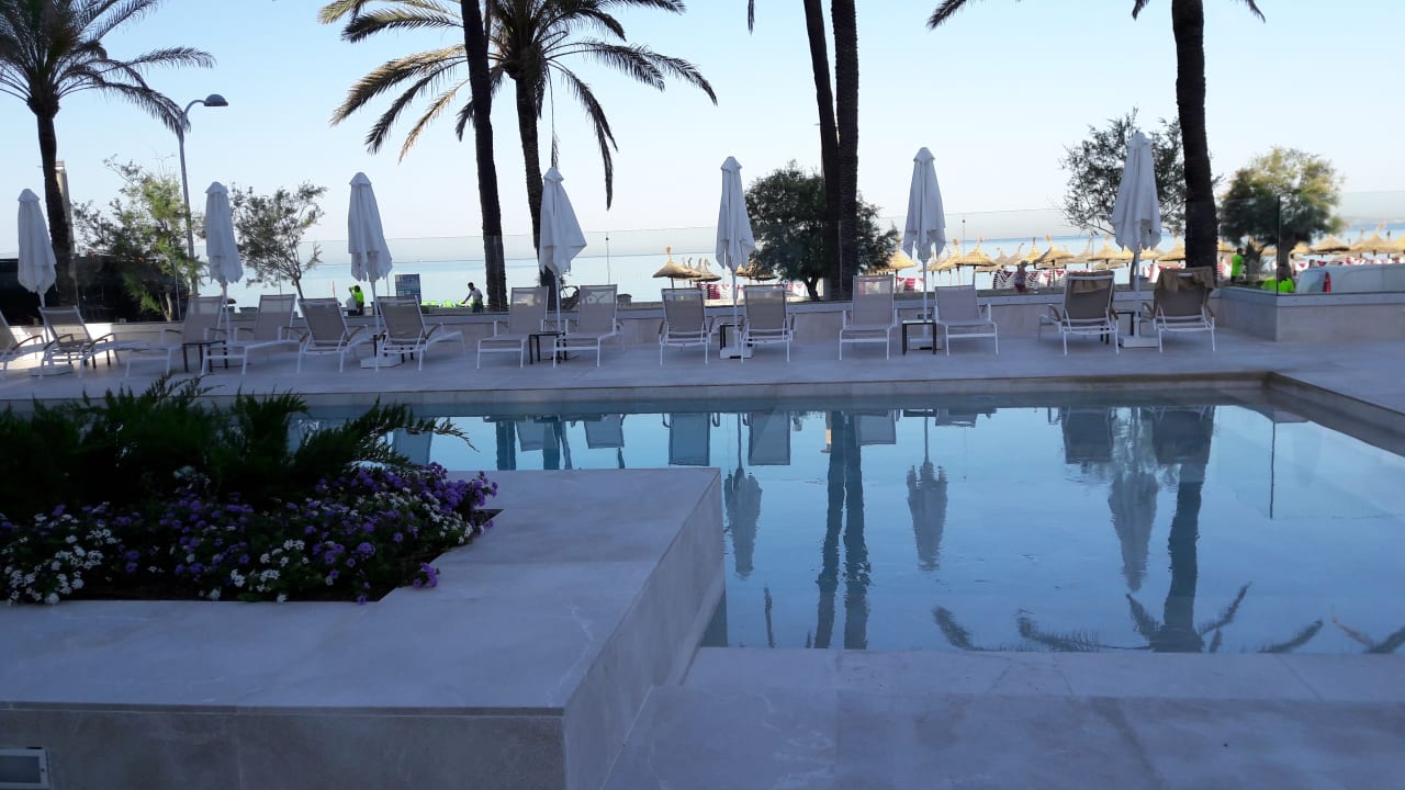 Pool Myseahouse Flamingo - Adults only