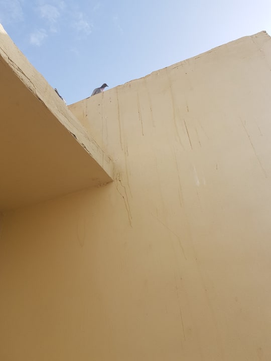 Zimmer Three Corners Fayrouz Plaza Beach Resort