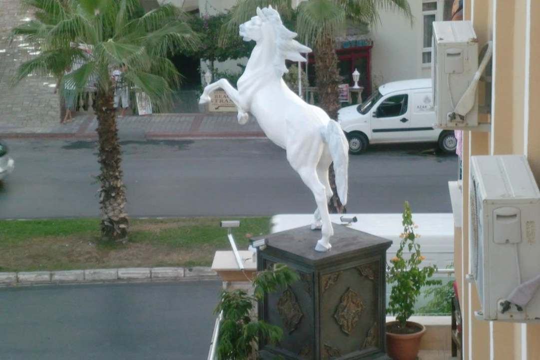 Pferd am Tag  Tac Premier Hotel & Spa