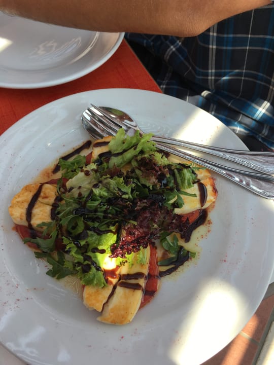 Gastro Grand Hotel Holiday Resort