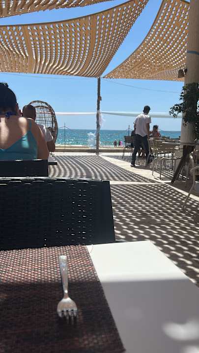 Strand Seashell Vega