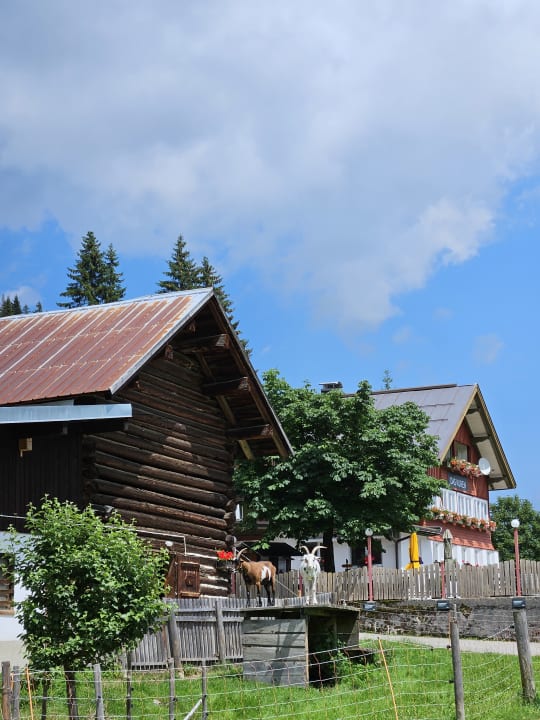 Außenansicht Alpenhotel DAS KÜREN