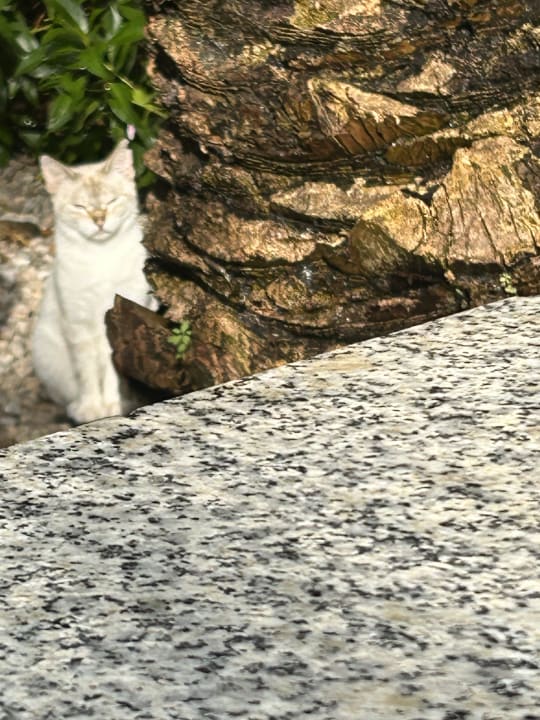 Sonstiges R2 Lago Playa Park