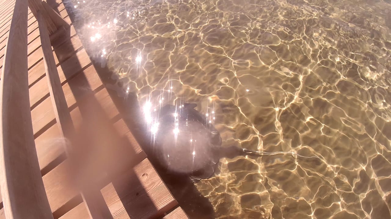 Strand Cleopatra Luxury Resort Makadi Bay