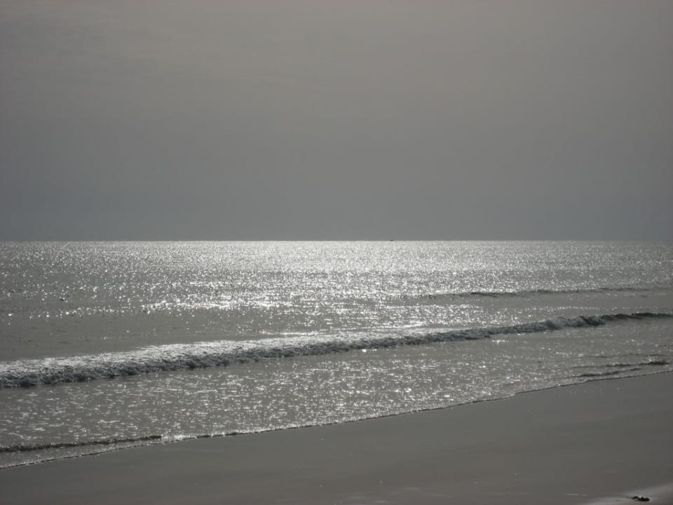 Strand in den frühen Morgenstunden Vincci Safira Palms