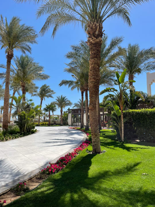 Gartenanlage JAZ Elite Casa del Mar Beach