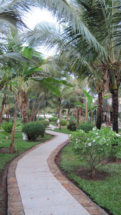 Garten My Blue Hotel