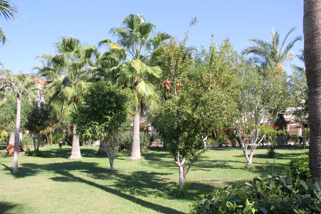 Gartenanlage Saphir Resort & Spa