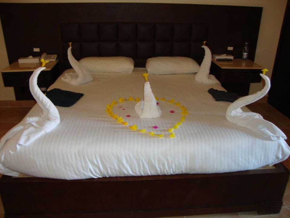 Jeden Tag eine andere Überraschung vom Zimmerboy  Pickalbatros Alf Leila Wa Leila Resort - Neverland Hurghada