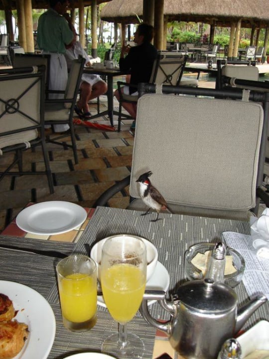 Restaurant und kleine Gäste La Pirogue Mauritius