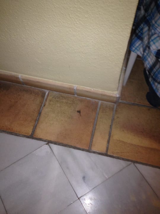 Flecken im Flur Los Olivos Beach Resort