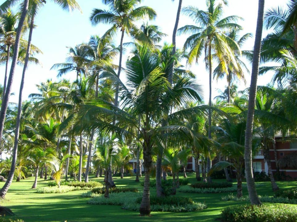 Grünanalge Grand Palladium Select Bávaro Resort & Spa