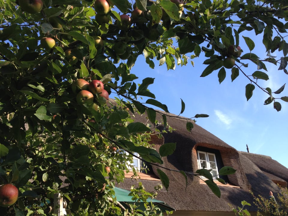 Außenansicht Hotel Rackmers Hof