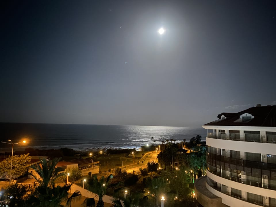 Ausblick Alba Queen Hotel