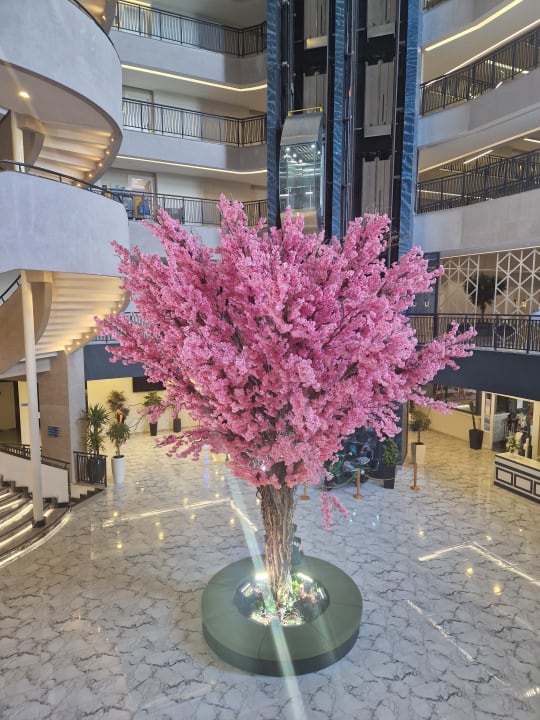 Lobby Dream Water World