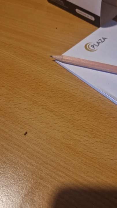 Sonstiges PLAZA INN Heilbronn