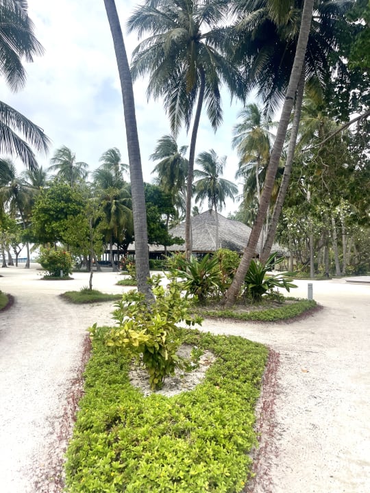 Gartenanlage Meeru Maldives Resort Island