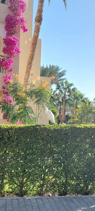 Außenansicht Jaz Dar EL Madina