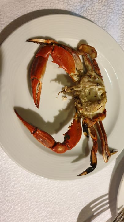 Gastro Hotel Gorgonia Beach Resort