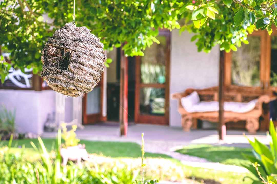 Zimmer Guest House A Hilltop Country Retreat