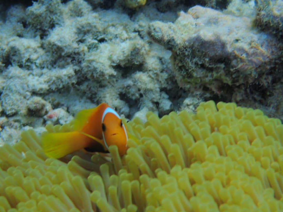 Sport & Freizeit Embudu Village