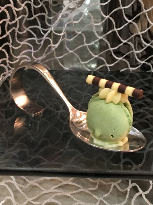 Gastro Acanthus Cennet Barut Collection